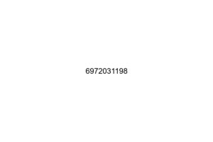 6972031198