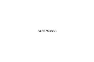 8455753863