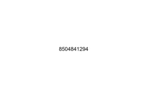 8504841294