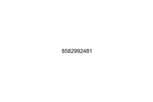 8582992481