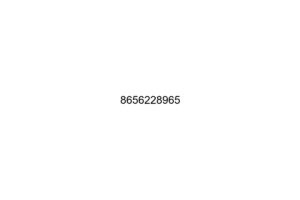 8656228965
