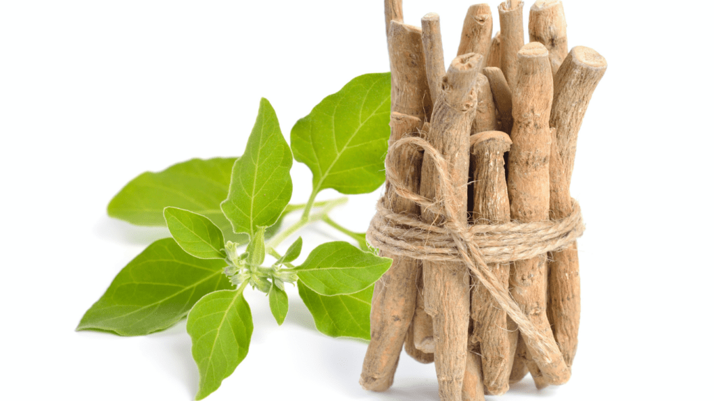 Adaptogens in Nutrition Fueling Resilience Naturally for Stress-Free Living