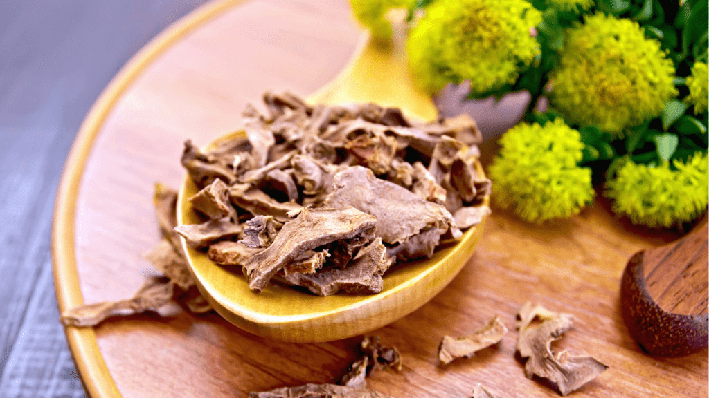 How Adaptogens Impact Nutrition and Health
