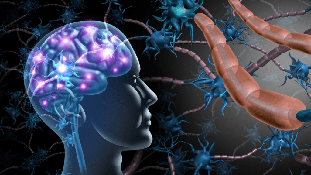 Neurofeedback and Brain Mapping 2025 Advances Revolutionizing Brain Health and Therapy