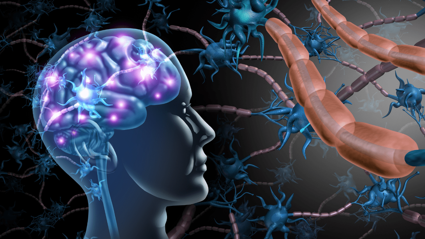 Neurofeedback and Brain Mapping 2025 Advances Revolutionizing Brain Health and Therapy