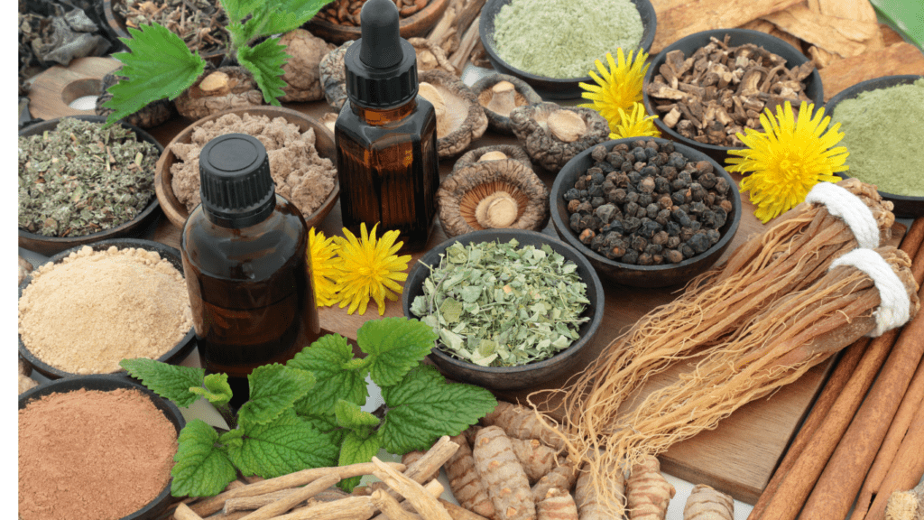 Top Adaptogens for Stress and Recovery Support Boost Resilience and Improve Well-Being