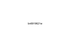 bn6919621w