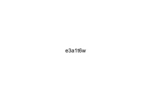 e3a1t6w