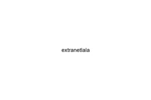 extranetlala