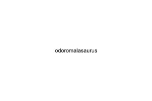 odoromalasaurus