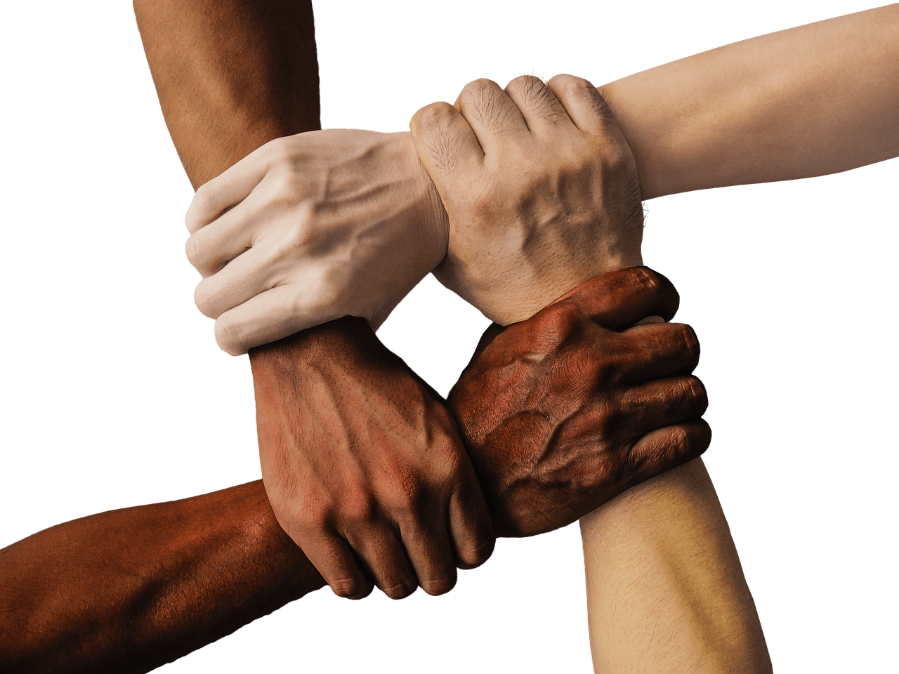 hands, team, united, together, people, unity, teamwork, group, hand in hand, union, support, friendship, cooperation, community, holding, connection, harmony, diversity, cut out, hands, hands, hands, hands, team, team, team, team, team, together, together, people, people, people, people, unity, teamwork, teamwork, group, support, support, friendship, friendship, community, community, community, community, connection, diversity, diversity, diversity, diversity