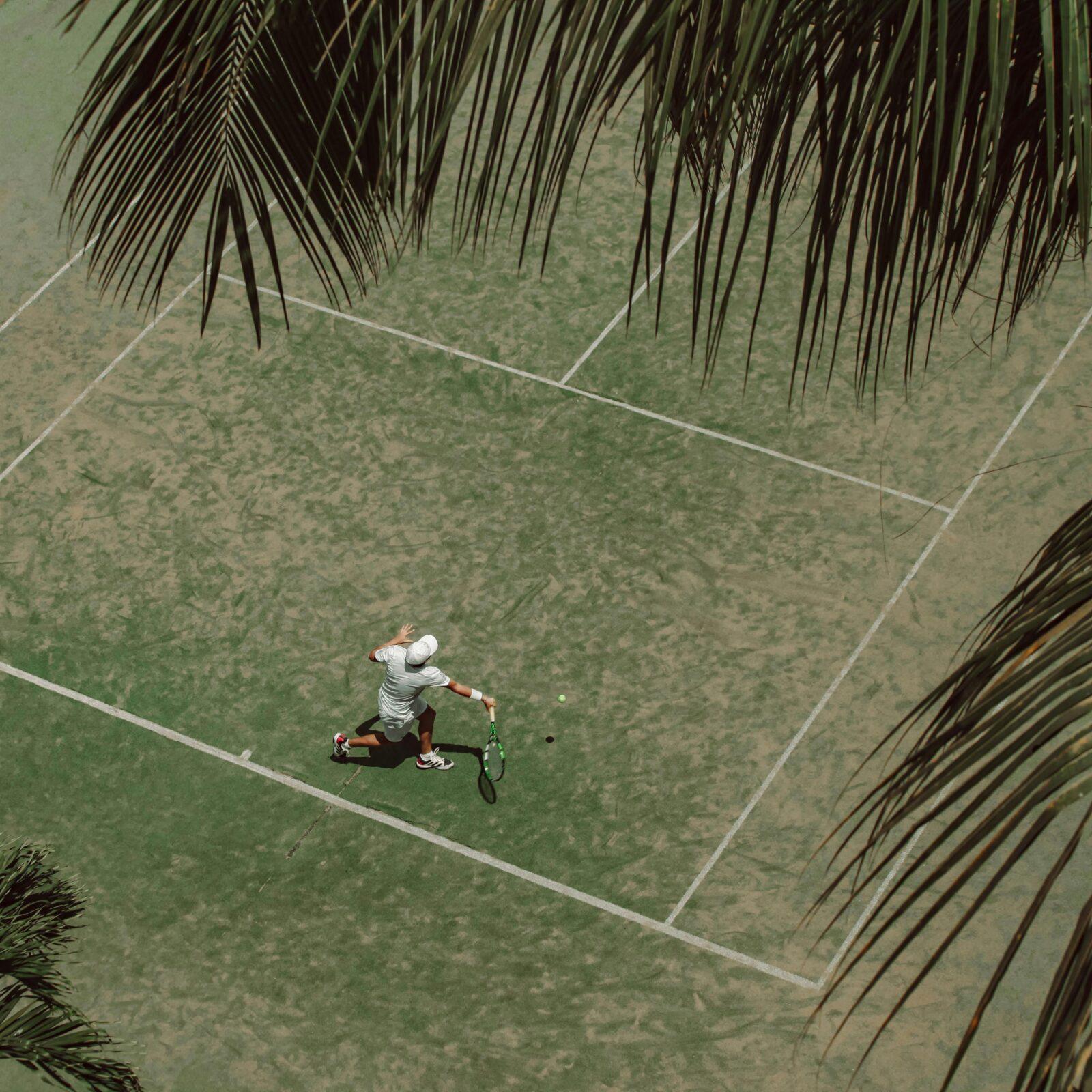 An aerial shot of a tennis player in action on a grass court under palm trees.
