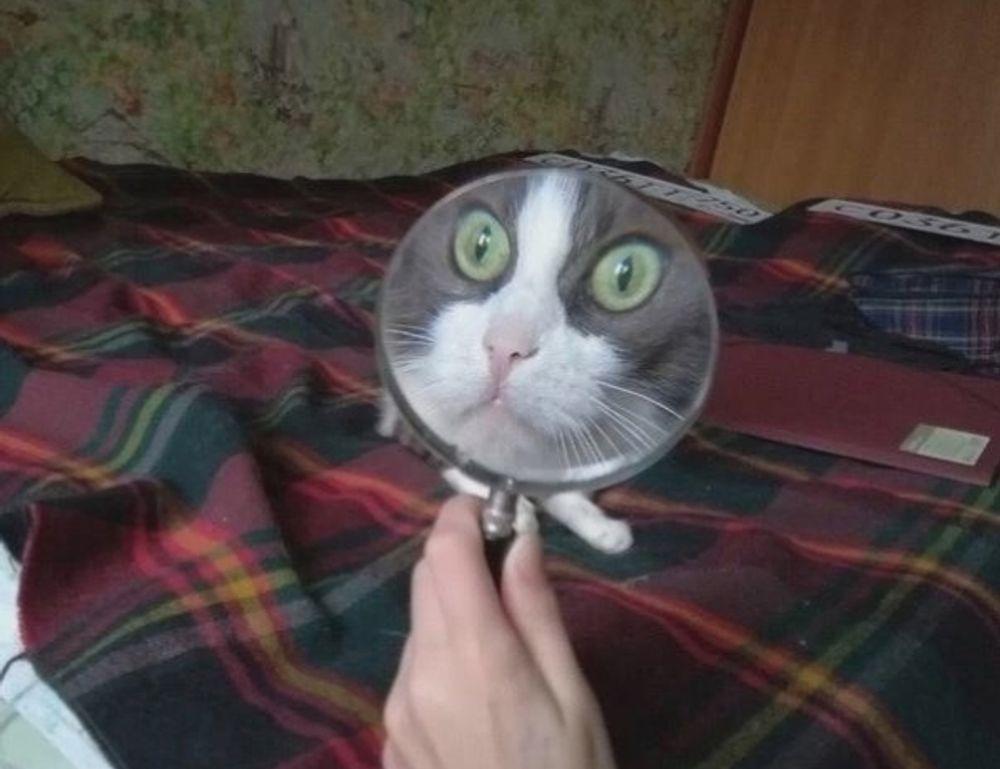 diet hacks twspoondietary