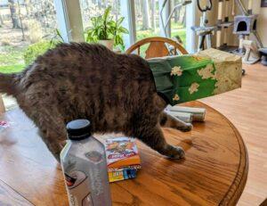 fitness nutrition guide twspoondietary