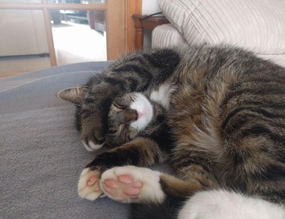 how khema rushisvili train like an olympic weightlifter