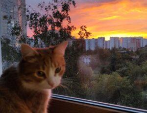 how to prepare healthy meals twspoondietary