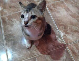 top five health tips twspoondietary