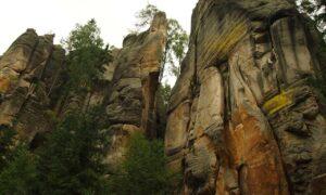 which is the best fitness tips twspoondietary