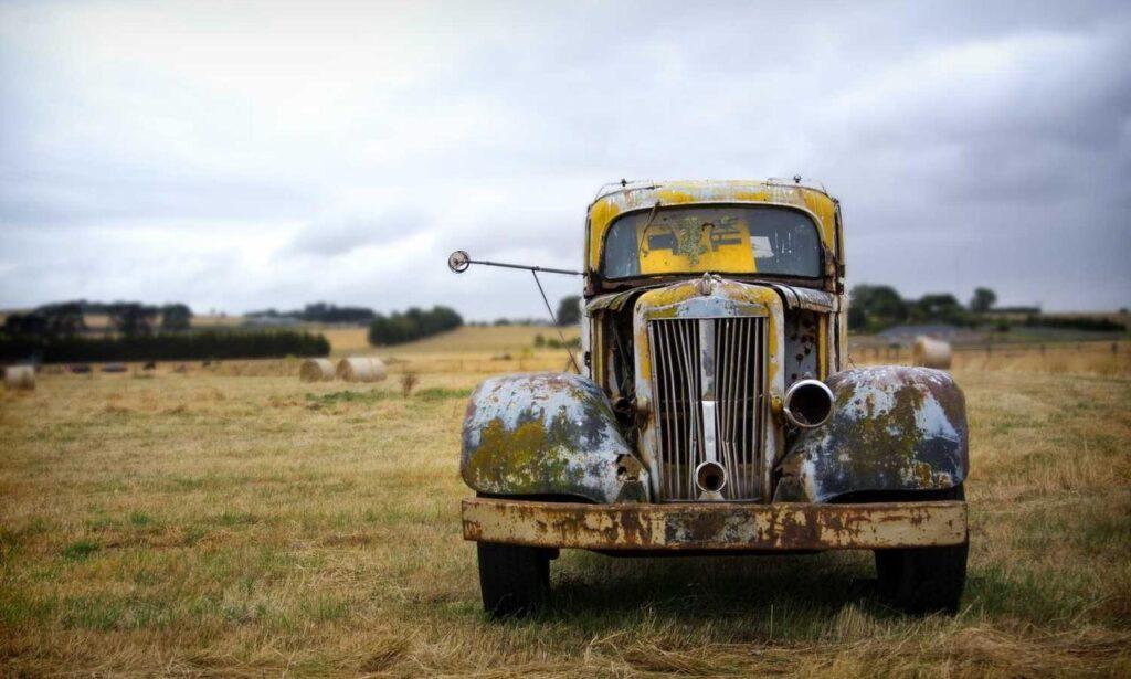 zg 91-565458 in food