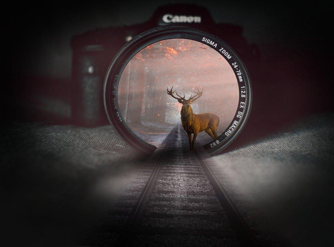 Fitness Guide Shmghealth