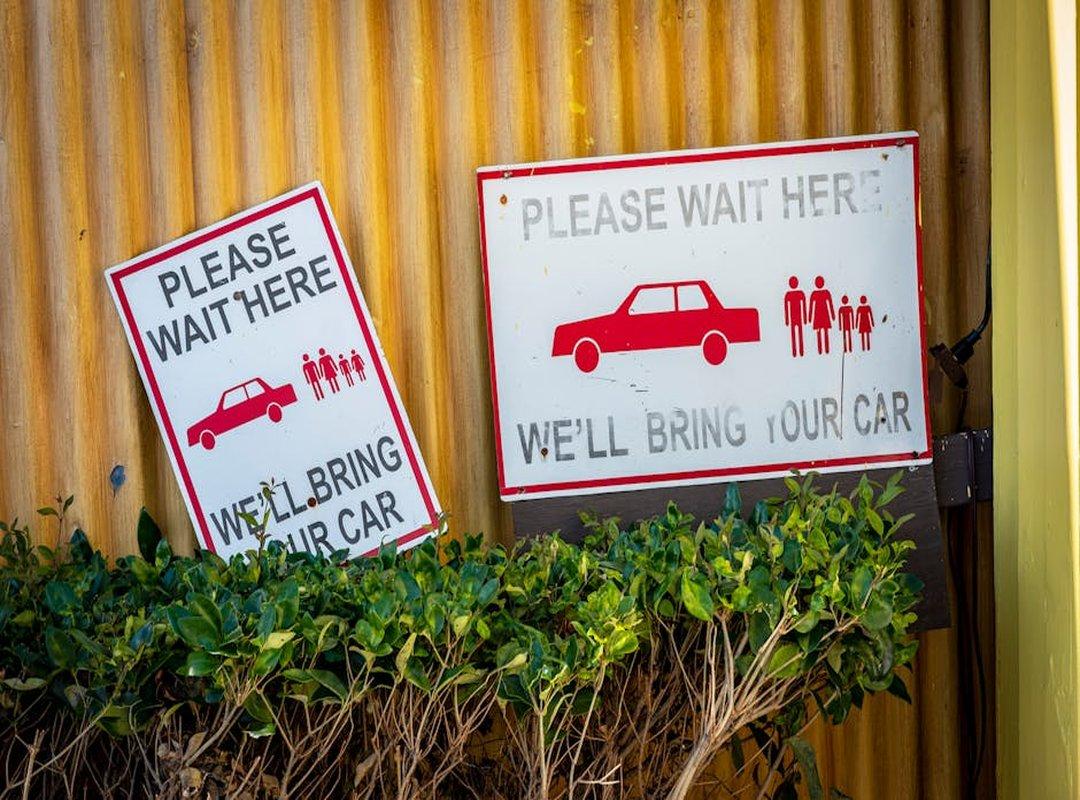 Bringing Your Vision to Life: The Illustration Process