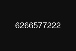 6266577222