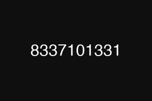 8337101331