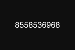8558536968