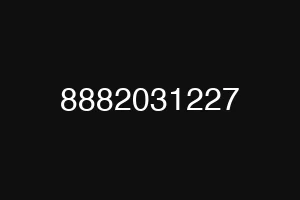 8882031227