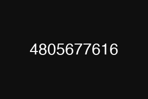 4805677616