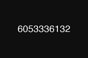 6053336132