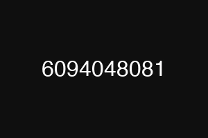 6094048081