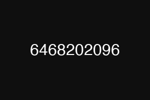 6468202096