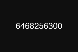6468256300