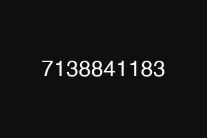 7138841183
