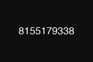 8155179338