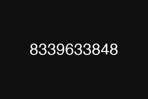 8339633848