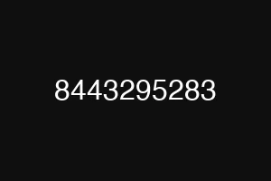8443295283
