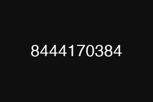 8444170384