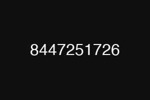 8447251726