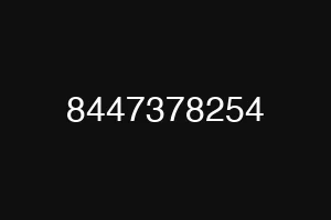 8447378254
